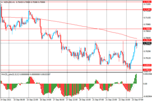 Пара NZD/USD отступила от трехнедельного минимума валютных пар на 23.09.2021