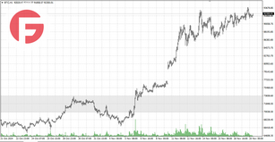 Биткоин - Обзор от 20.11.2024
