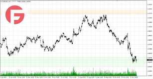 EUR/USD - Обзор от 21.11.2024